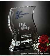 Malibu Award 7-1/2"