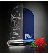 Brigadier Award 11"