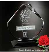 Debonair Award 9"