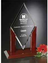 Quantum Award 17-1/2"