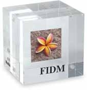 MOMA Double-Sided Photo Cube Paperweight