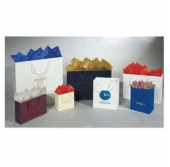 Eurotote Matte 6.5x3.5x8.5-Color