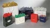 Eurotote Gloss Black Shopping Bag-Colors