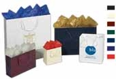 Eurotote Matte  13x5x10
