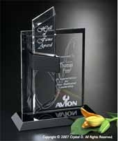 Intrepid Award 11-1/2"