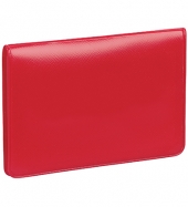 Business Card/License Holder