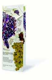 The Everyday Wine Bottle Gift Bag Collection (Toast of the Town)