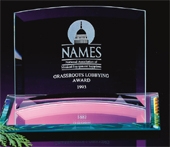 Curved Glass Award on Mirror Base (6"x4")