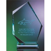 11" Peak Sculptured Jade Crystal Award