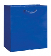 Gloss Laminated Euro Tote Bag |8x4x10|