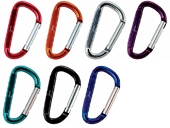 Small Carabiner Keytag