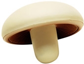 Mushroom Stress Reliever