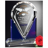 Distinction Award 8-1/2"
