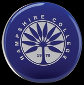 Cobalt Standing Disk