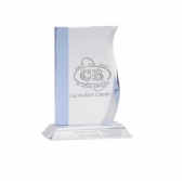 The Mini Wave Award