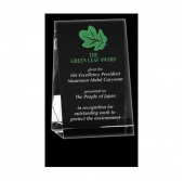 Medium Wedge Award