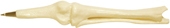 Knee Joint Bone Pen