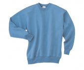 Hanes Crewneck Sweatshirt