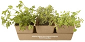 Bamboo Trio Blossom Kit