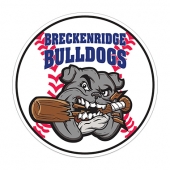 Sports Magnet | Baseball | 5 3/4" dia. | .030" Thickness | Full C