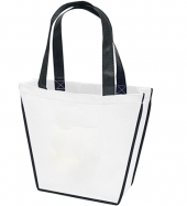 Carnival Tote