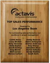 Bamboo Laser Plaque 9" x 12"