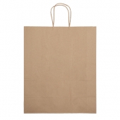 Eco Shopper Brute