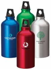 Sonia 16.9 oz. Flask with Twist Top