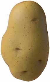 Potato Stress Reliever