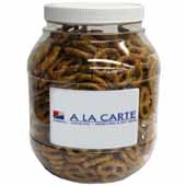 Large Plastic Jar - Salted Mini Pretzels