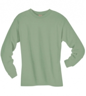 Hanes 100% Cotton Long Sleeve T-Shirt