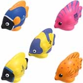 Tropical Fish Stress Reliever