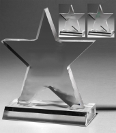 Large Star Award
