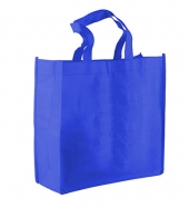 The Companion - 13" Non-woven Tote