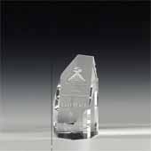 5" OptiMaxx Octagonal Tower Award