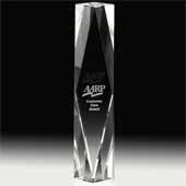 12" OptiMaxx Merit Award