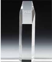 10" OptiMaxx Hexagon Award