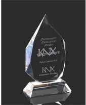 7" OptiMaxx Diamond Flame Award