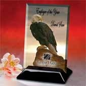 Beveled Rectangular Award (6"x8")