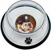 Large Pet Bowl