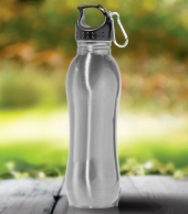 Stainless Steel 26 Oz Bottle