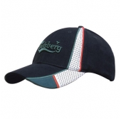 Brushed Heavy Cotton with Peak and Crown Mesh Inserts
