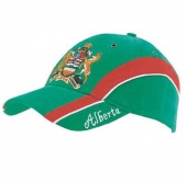 Brushed Heavy Cotton with Embroidered Peak Insert