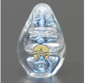 Aquatic Art Glass
