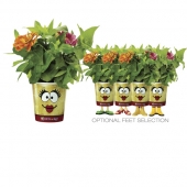 Garden Grow Cups