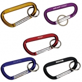 Carabiner With Ring