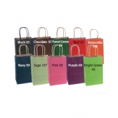 Premium Tinted Stripe Paper Shopping Bag-Colors 16X6X12.5