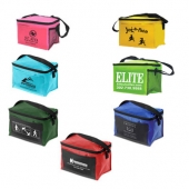 Insulated 6 Pack Cooler