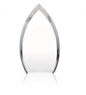 Enterprise Teardrop Award
