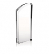 Enterprise Curve Award
